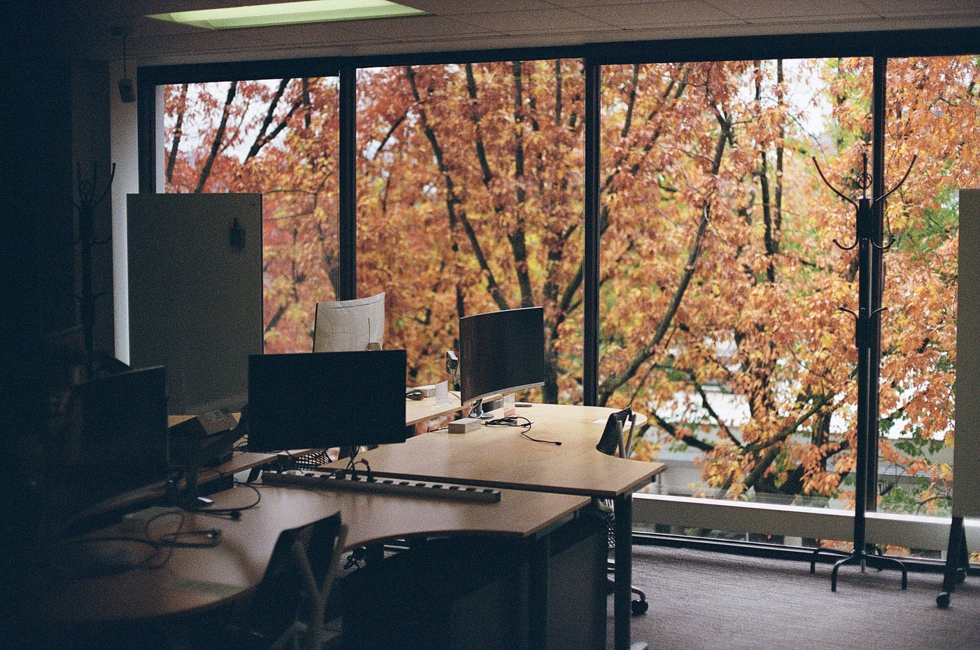 A photo calleed 000024720014.jpg